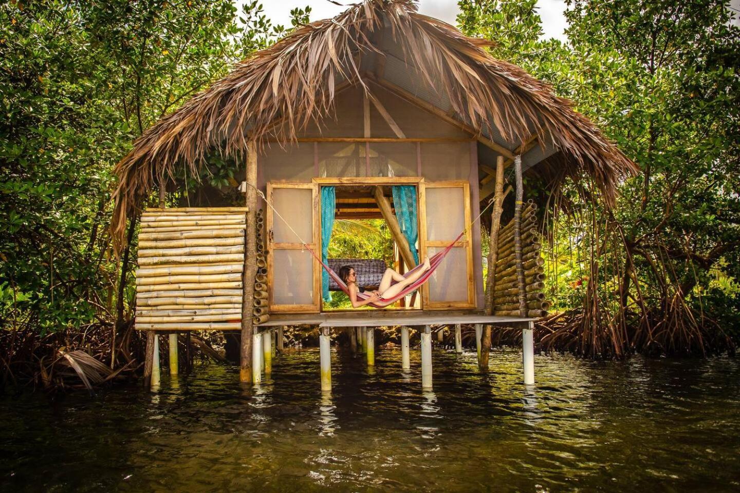 Hotel Cocovivo à Bocas del Toro Extérieur photo
