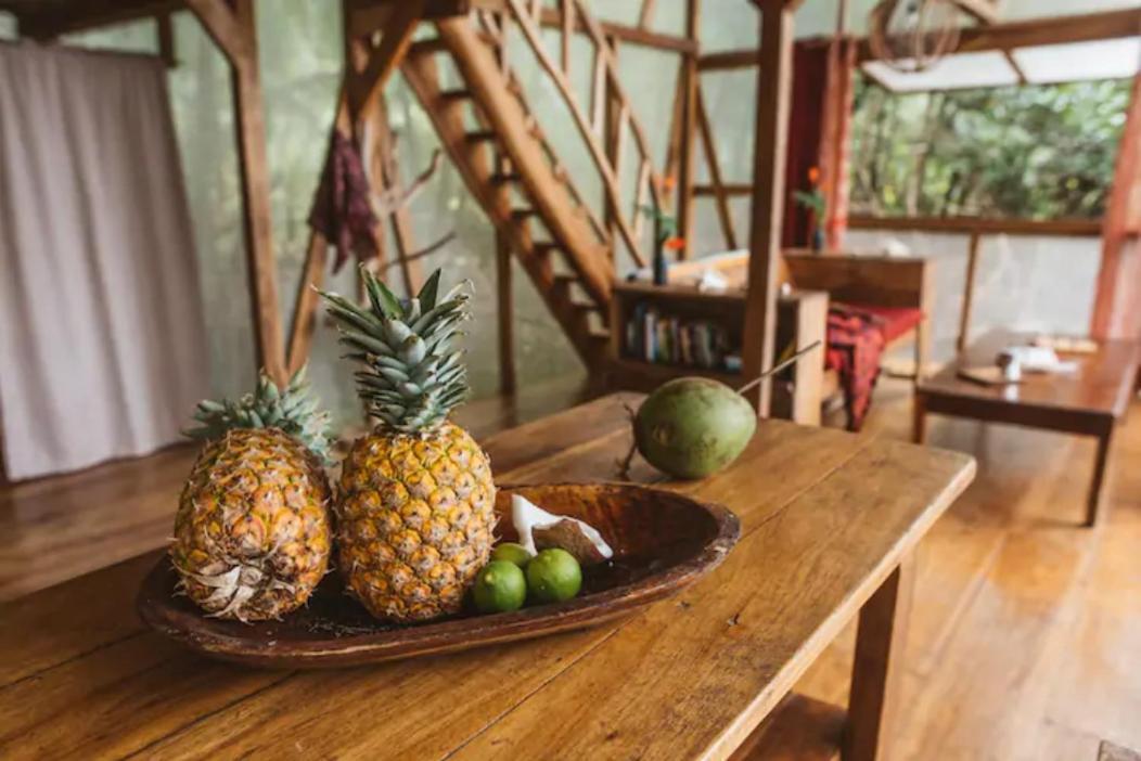 Hotel Cocovivo à Bocas del Toro Extérieur photo