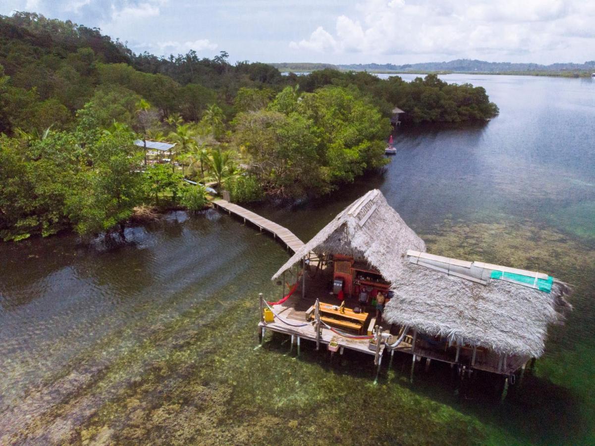 Hotel Cocovivo à Bocas del Toro Extérieur photo