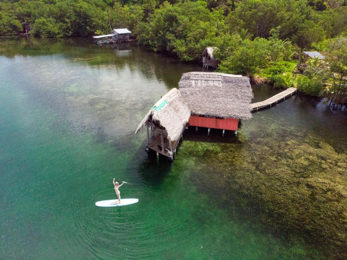 Hotel Cocovivo à Bocas del Toro Extérieur photo