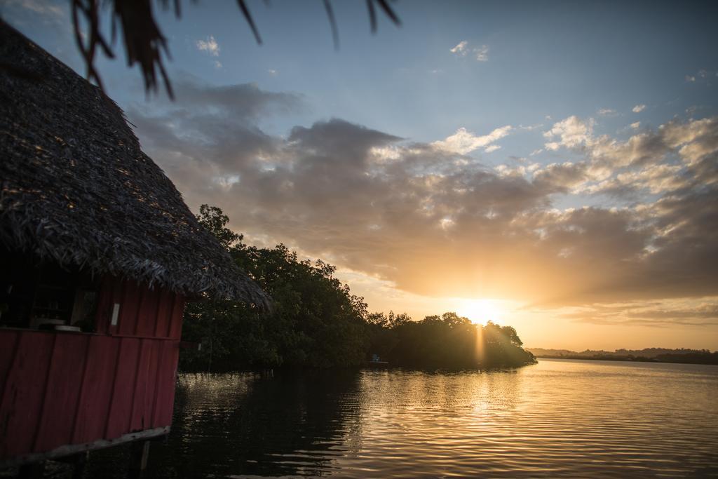 Hotel Cocovivo à Bocas del Toro Extérieur photo