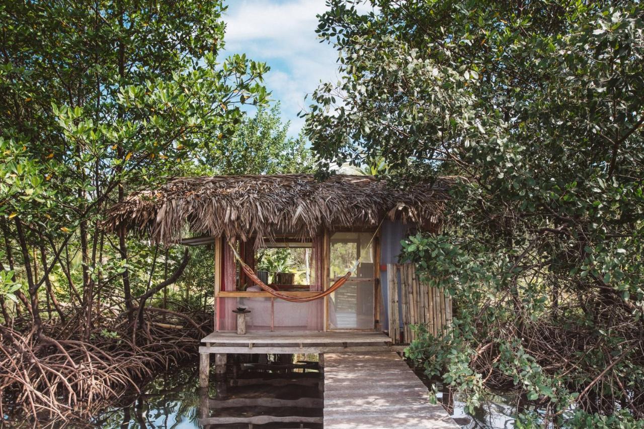 Hotel Cocovivo à Bocas del Toro Extérieur photo