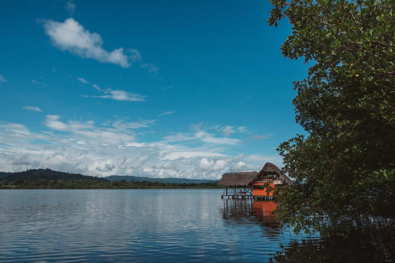 Hotel Cocovivo à Bocas del Toro Extérieur photo